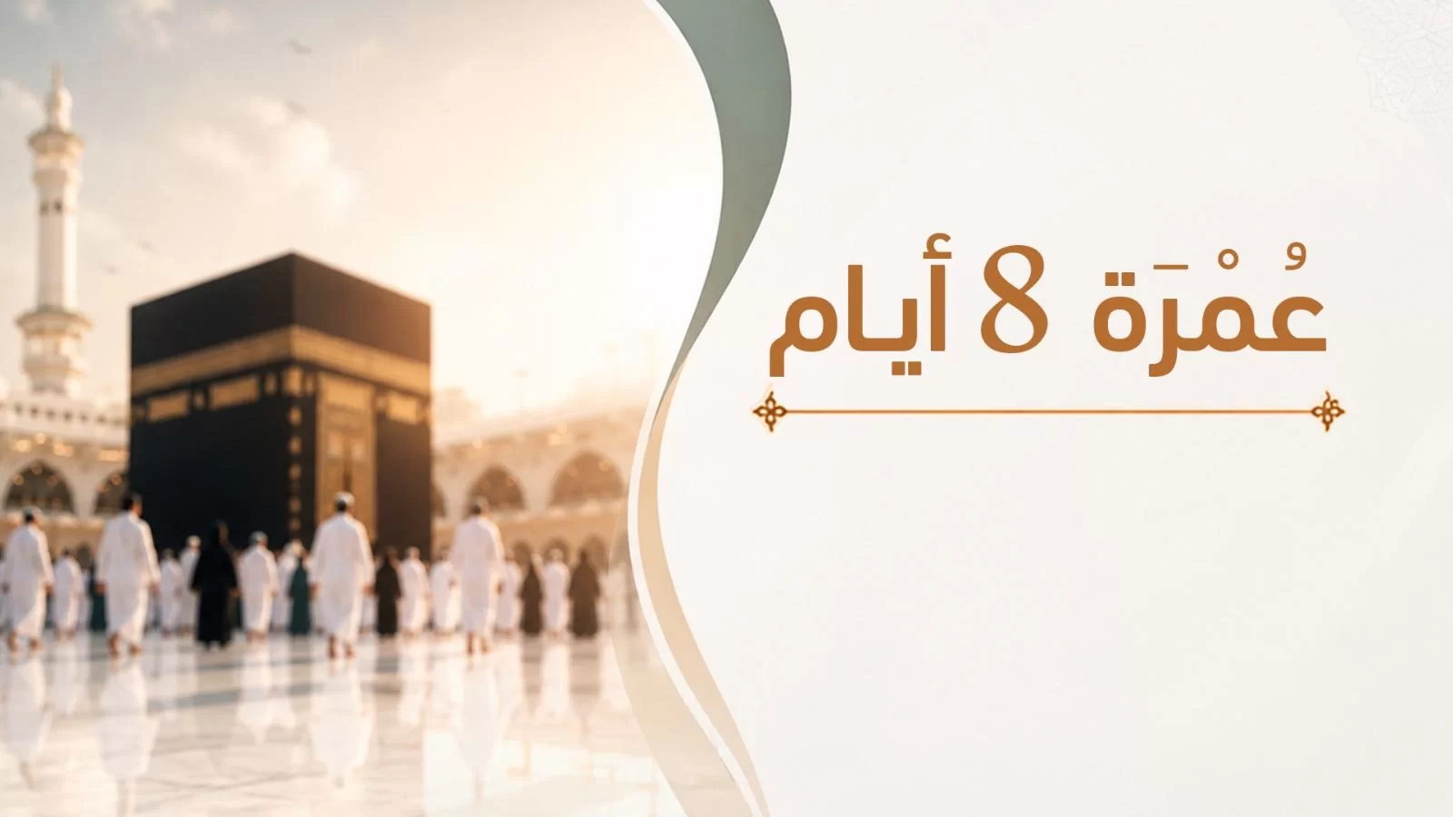 عمرة ٨ أيام